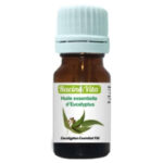 RACINE-VITA – Huile Essentielle D’eaucalyptus – 10ml